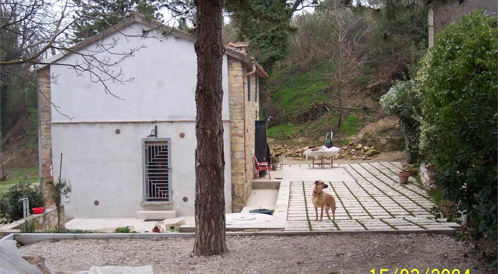 Photo 13